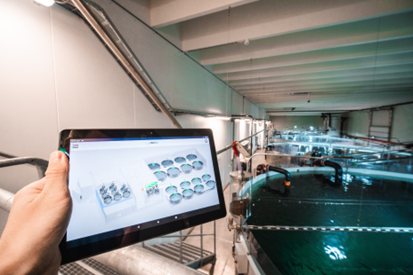 Ellingsen Seafood land-based smolt facility
