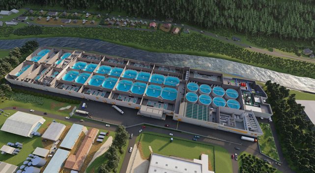Feeding automation at Hima Seafood